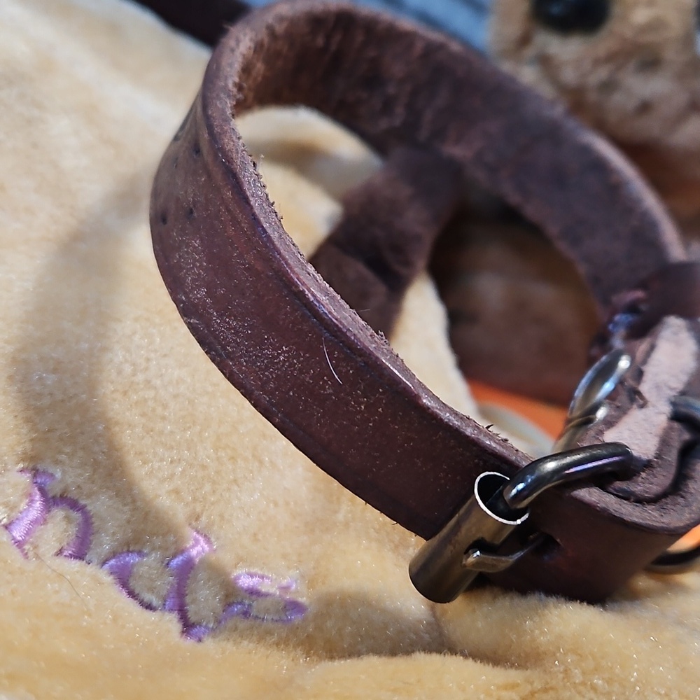 Tooled Leather CUSTOM Puppy And XSmall Dog Collars NEW - Picture 11 of 15